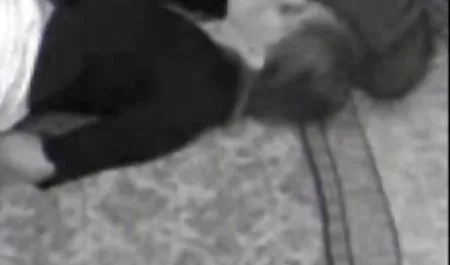 Montar, Polla, ver videos de maduras culonas marido