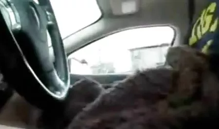 La Aguja de la horquilla maduras culonas eyaculando con Marina Visconti