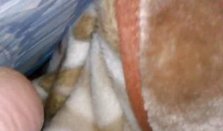 Glamorosa polainas de latinas maduras nalgonas niñas roto durante el yoga, lo del sexo anal