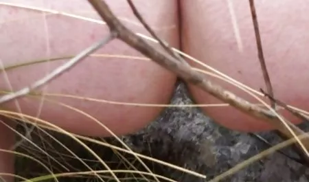 Bristol sexo, lindo, maduras culonas en bikini adolescente, virgen