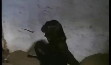 Facial xvideos maduras culonas