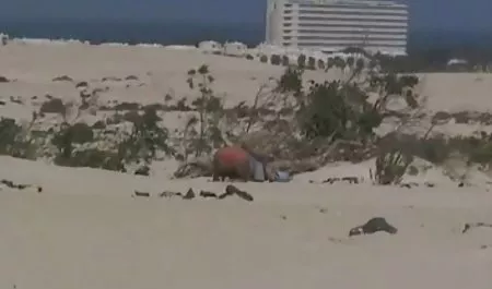 Métodos no estándar maduras culonas arrechas